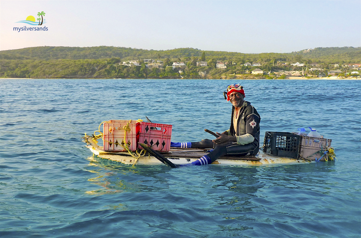 Paddleboarding Encounters at Silver Sands Jamaica
